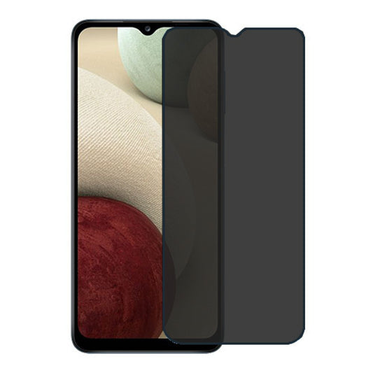 Samsung Privacy Screen Protector Glass